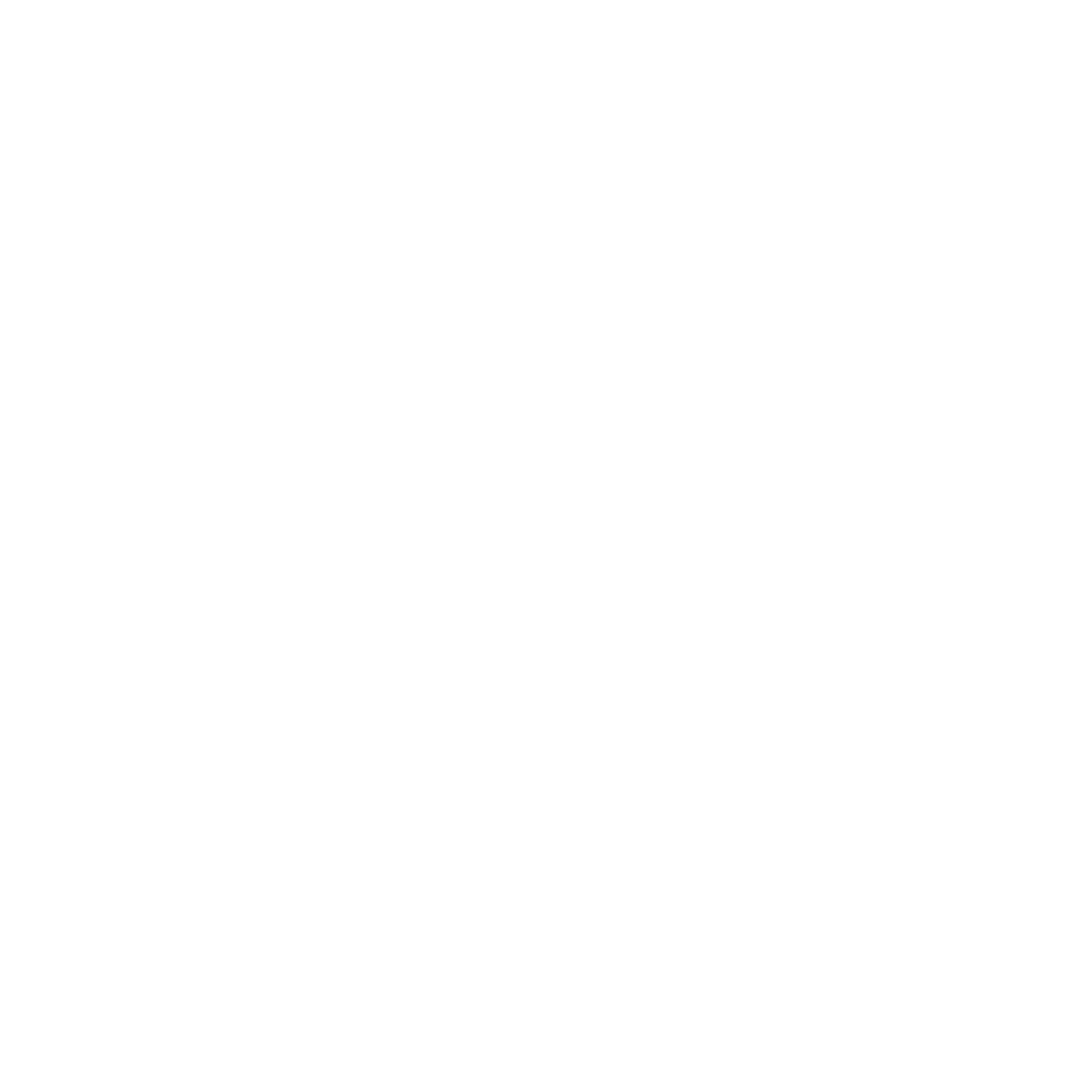 Favicon weiß transparent